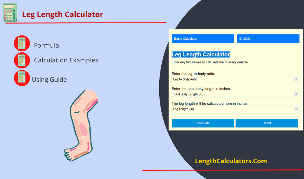 Leg Length Calculator | Online Calculators